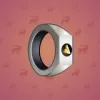 Signet Ring #412