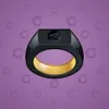 Signet Ring #424