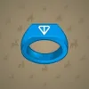 Signet Ring #4342
