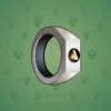 Signet Ring #4366