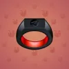 Signet Ring #4378