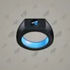 Signet Ring #4420