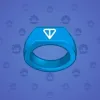 Signet Ring #465