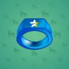 Signet Ring #4674