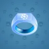 Signet Ring #4702