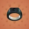Signet Ring #4726