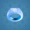 Signet Ring #4790