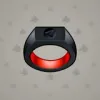 Signet Ring #483