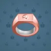 Signet Ring #4898