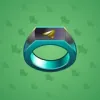 Signet Ring #491