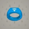 Signet Ring #4934