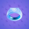 Signet Ring #507