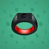 Signet Ring #511