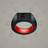 Signet Ring #529