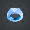 Signet Ring #5383