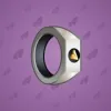 Signet Ring #5407