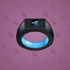 Signet Ring #5453