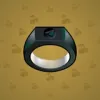 Signet Ring #555