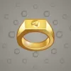 Signet Ring #567
