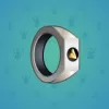 Signet Ring #5771