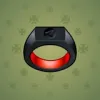 Signet Ring #5821