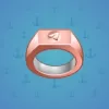 Signet Ring #5874