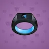 Signet Ring #5893