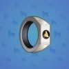 Signet Ring #5970