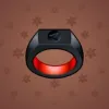 Signet Ring #6088