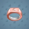 Signet Ring #6207