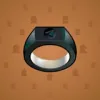 Signet Ring #6340