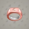 Signet Ring #6368