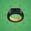 Signet Ring #6499