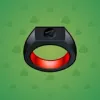 Signet Ring #6616