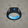 Signet Ring #6642