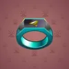 Signet Ring #6684