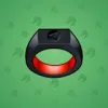 Signet Ring #6724