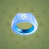 Signet Ring #6738