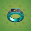 Signet Ring #6788