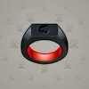 Signet Ring #699