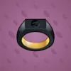 Signet Ring #7051