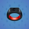 Signet Ring #7065