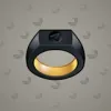 Signet Ring #7138