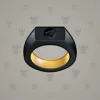 Signet Ring #719