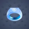 Signet Ring #7270