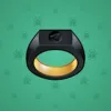 Signet Ring #7314