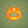 Signet Ring #735