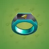 Signet Ring #7357