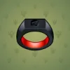 Signet Ring #7365