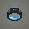 Signet Ring #7547